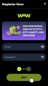 2. step - Enter email
